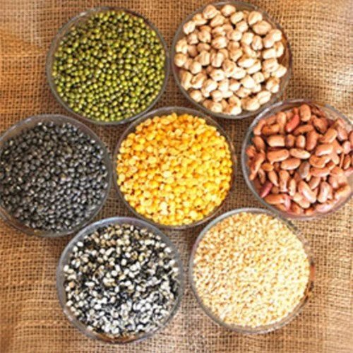 Food grains tender information