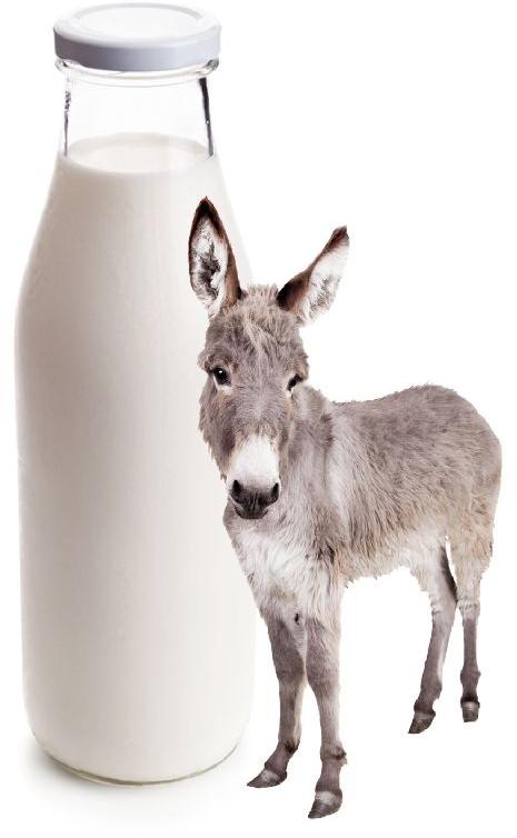 Donkey milk, for Medicine Use, Purity : 95%