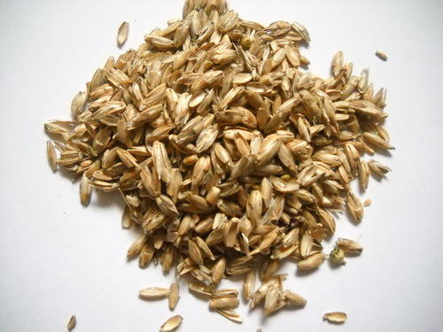 Organic Wheat Husk, Style : Dried