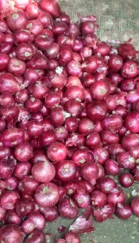 Red Onion, For Food, Quality Available : A Grade