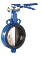 Kirloskar Centric Design Butterfly Valve