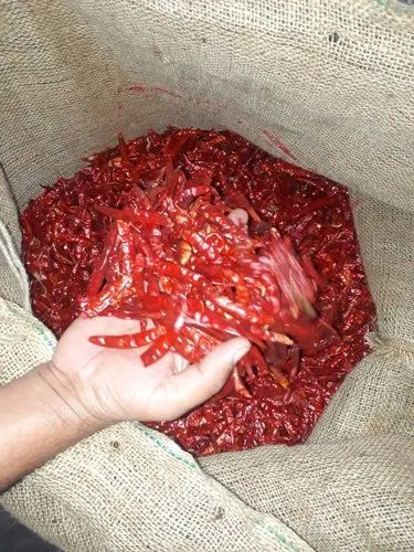 Sannam 334 Dried Red Chilli, for Cooking, Packaging Size : 25 Kg