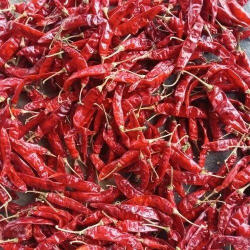 Sannam S4 Dried Red Chilli