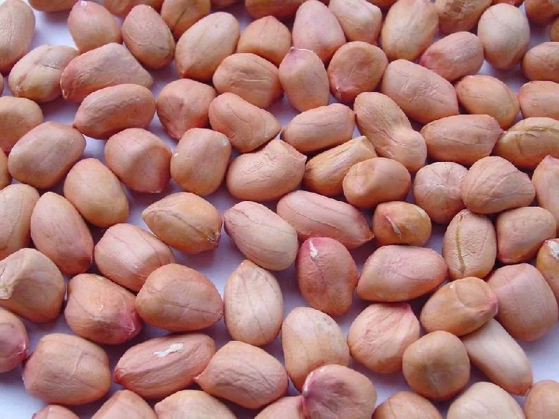 Java 100/110 Peanuts, for Oil, Human Consumption, Feature : High In Protein