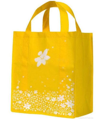 Printed Non Woven Gift Bag, Size : Multisize