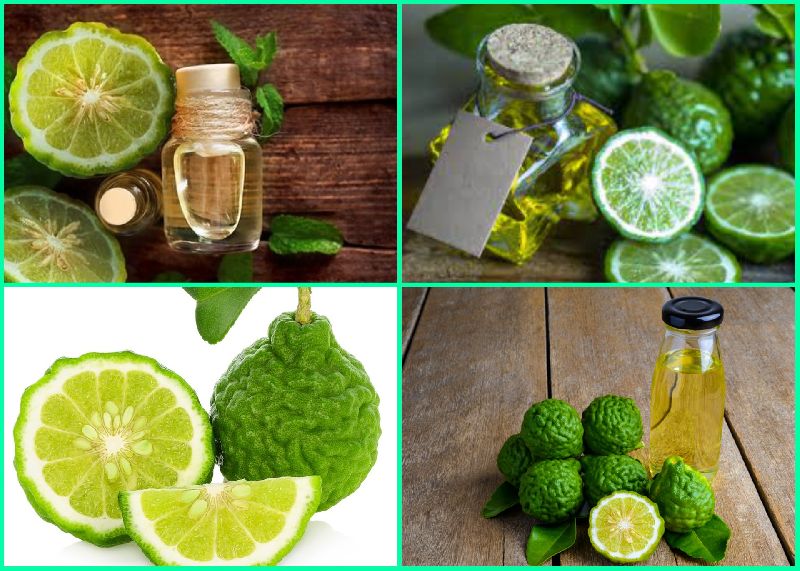 Common Bergamot Oil, for Human Consumption, Feature : Fine Purity, Freshness, Good Quality, Hygienically Packed