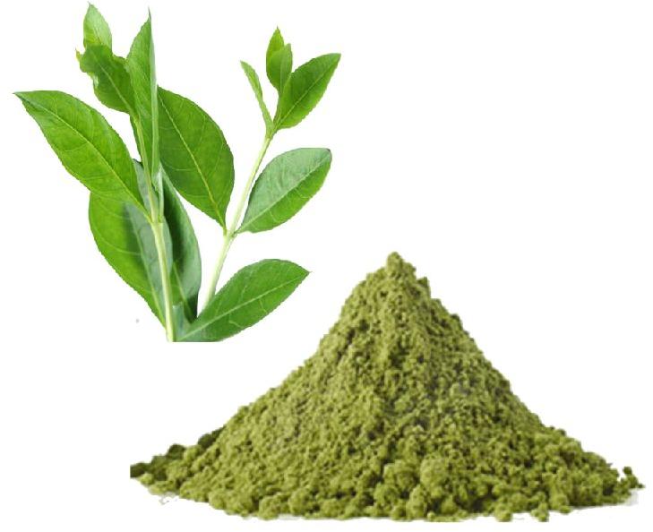Herbal Henna Powder, for Parlour, Personal, Color : Green
