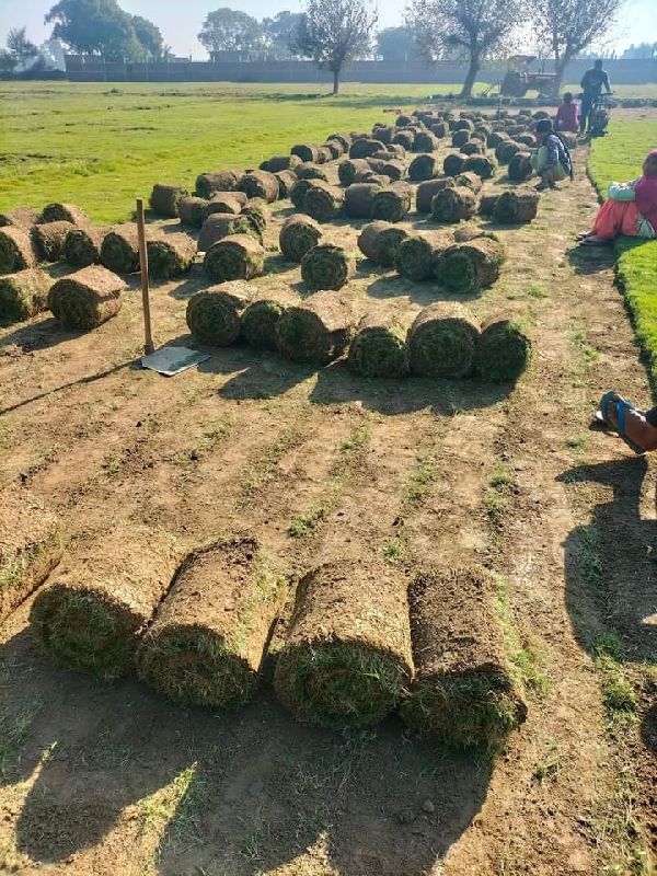 natural grass mat