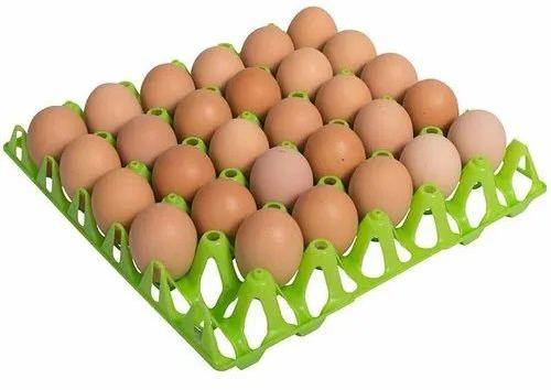 Green Plastic Egg Tray