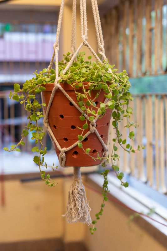 terracotta balcony garden planter