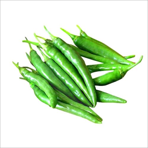 Natural Fresh Green Chilli, for Cooking, Packaging Type : Plastic Packet
