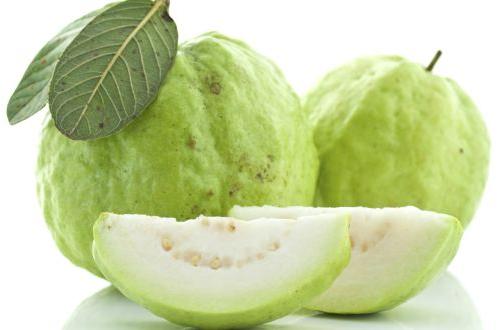 Natural Fresh White Guava, Specialities : Good For Nutritions, Hygienically Packed