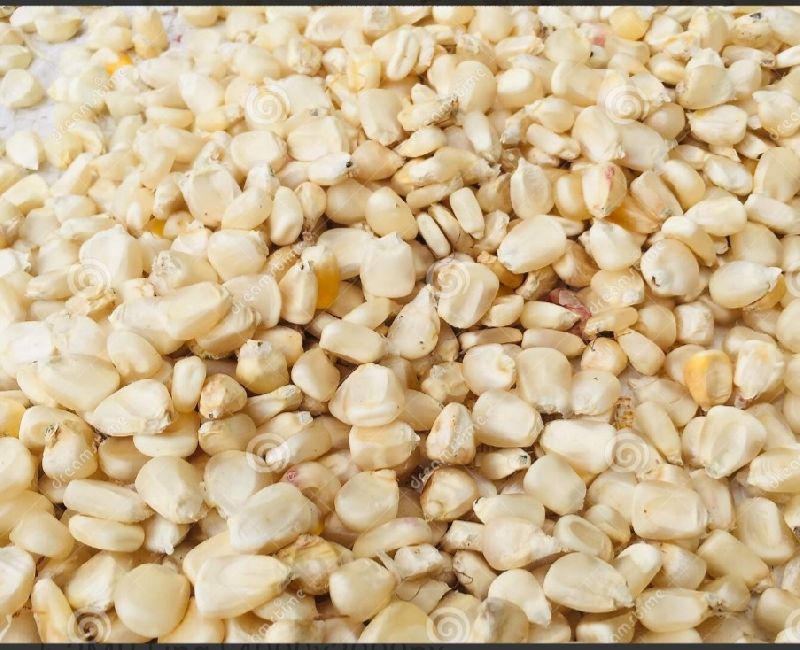 White maize, Packaging Type : Pp Bag