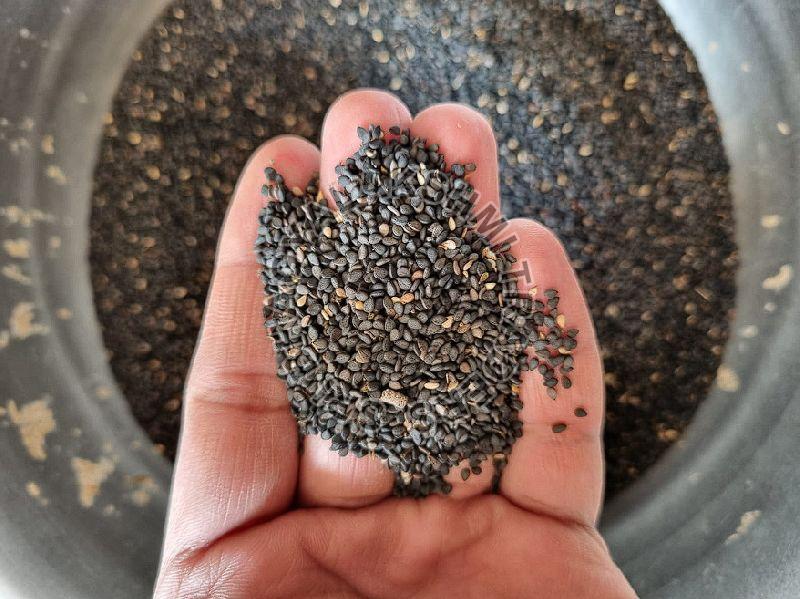 Black sesame seeds, Packaging Type : Jut Bag