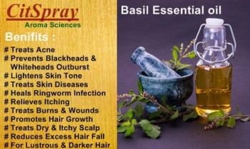 Natural Basil Essential oil, for Body Care, Skin Care, Spa, All