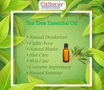 Tea Tree Essential Oil, Purity : 100% Pure