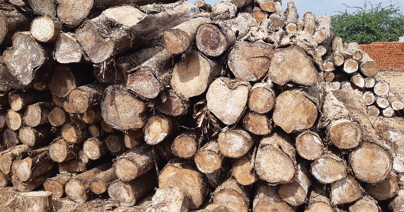 Ghana Teak Wood Round Logs 143 Pcs