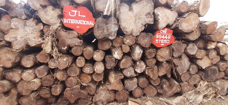 Ghana Teak Wood Round Logs 143 Pcs