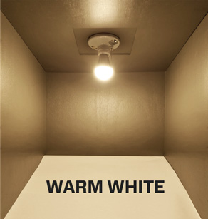 Warm White LED Bulb