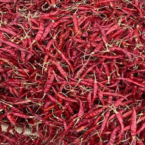 Teja Deluxe Red Chilli