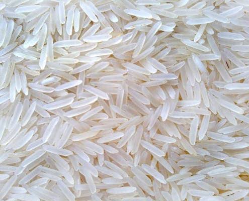 Ratnagiri 24 Rice