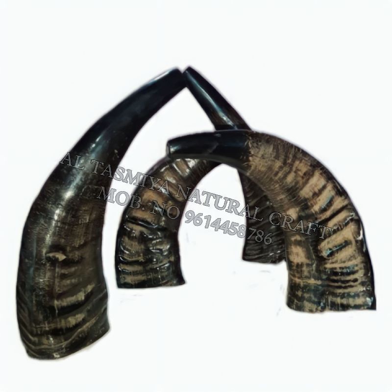 Buffalo Horn Flute, Shape : Natural