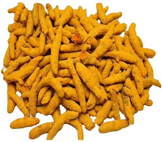 Turmeric finger, for Spices