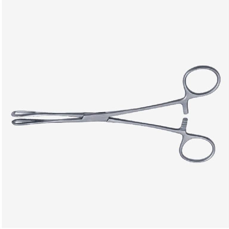 Rampley Sponge Holding Forceps, Application : Surgical Use at best ...