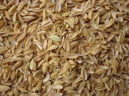 Brown Rice Husk, Packaging Type : Loose