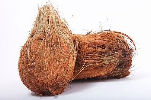 Brown Semi Husked Natural A Grade Fresh Coconut, for Pooja, Packaging Type : Gunny Bags