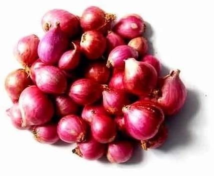 Fresh Small Red Onion