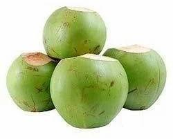 Green Natural Fresh Tender Coconut, for Cooking, Packaging Type : Gunny Bags