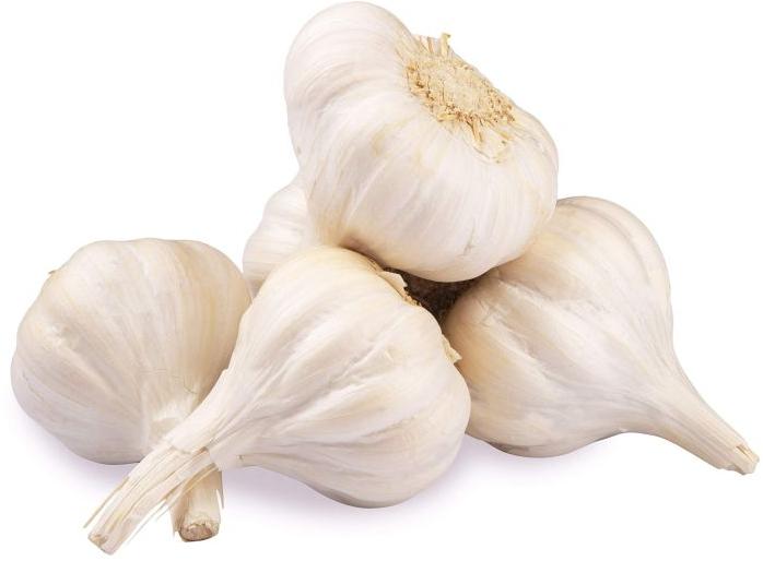 Organic fresh garlic, Storage Tips : Store In Dry Place
