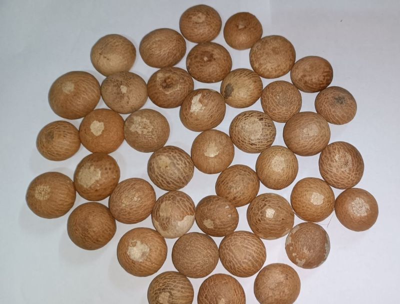 Common 115 Sirsi Betel Nut, for Ayurvedic Formulation, Herbal Formulation, Medicine, Packaging Type : Plastic Bags