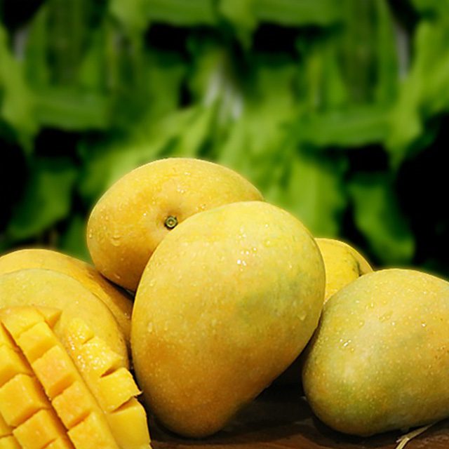 Yellow Fresh Benishan Mango, for Human Consumption, Packaging Type : Wooden Carton
