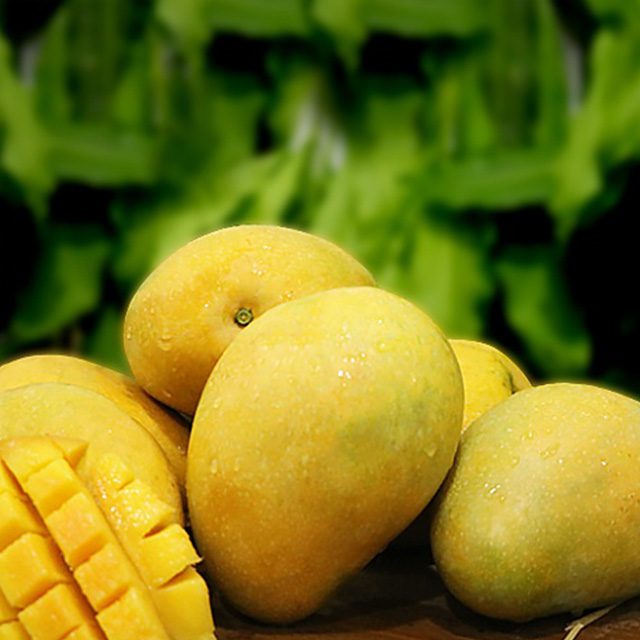 Fresh Benishan Mango