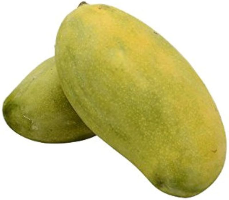 Green Fresh Dasheri Mango, for Human Consumption, Packaging Type : Wooden Carton