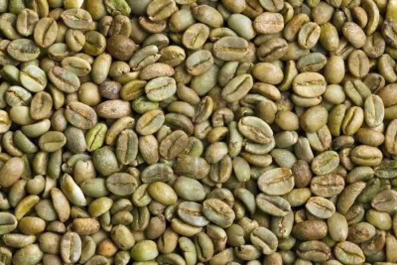 Green Arabica Coffee Beans, Packaging Type : Plastic Packets
