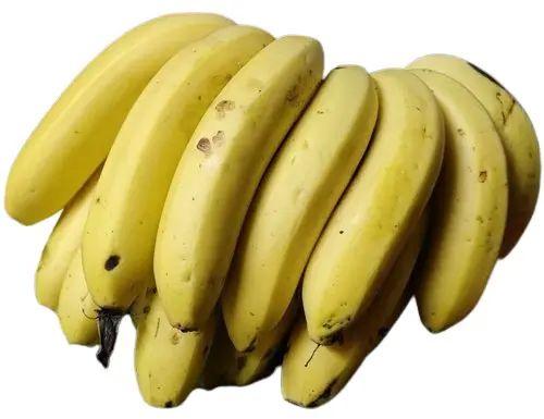 Fresh Natural Yellow Banana, Shelf Life : 1week