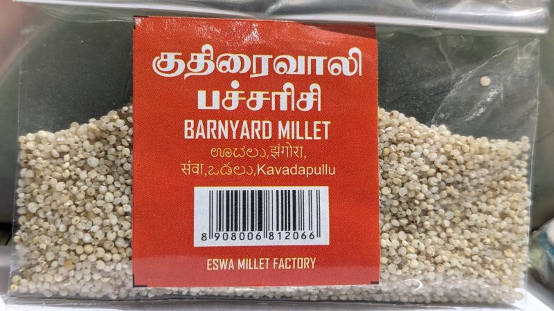 barnyard millet