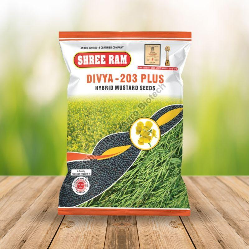 Divya 203 Plus Hybrid Mustard Seed