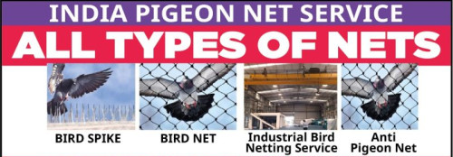 Industrial Bird Netting Service