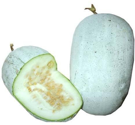 White Ash Gourd