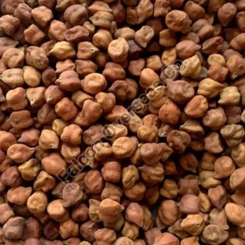 Black Chickpeas, for Cooking, Style : Dried