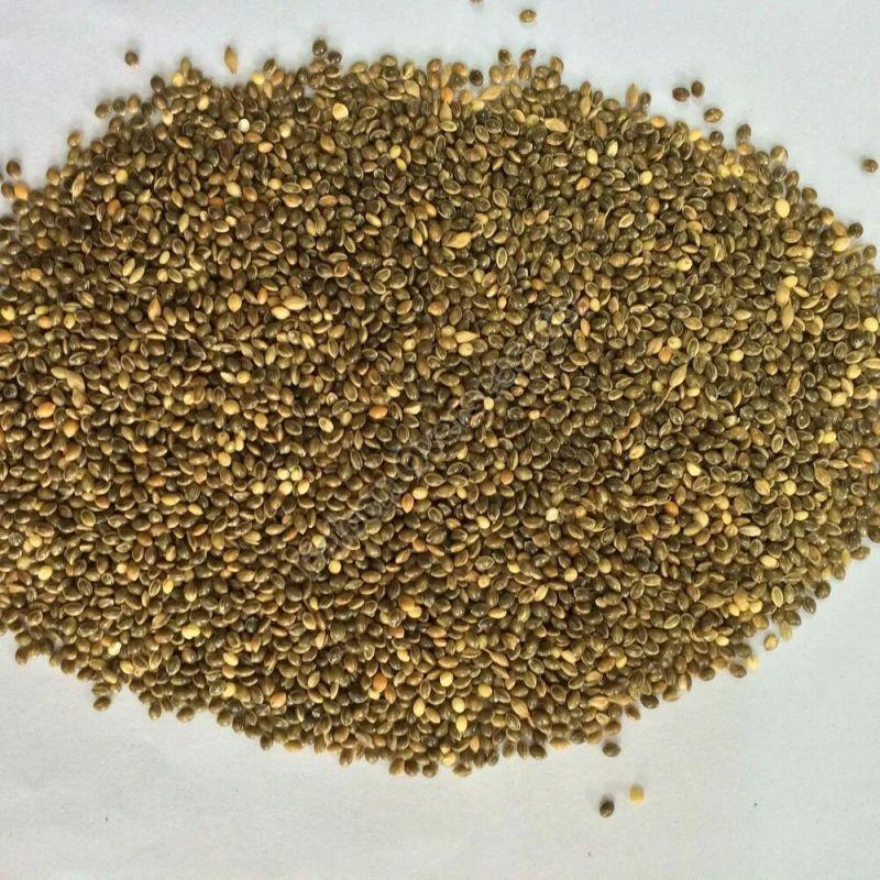 Green Natural Millet Seeds, for Cooking, Style : Dried