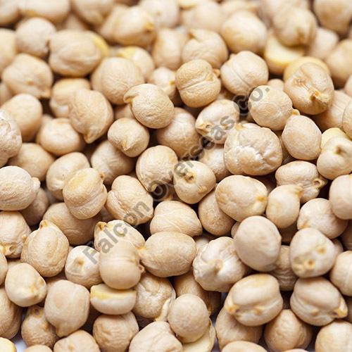 Natural White Chick Peas, Shelf Life : 6 Months