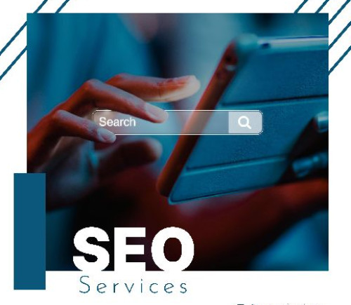 Seo services in jaipur