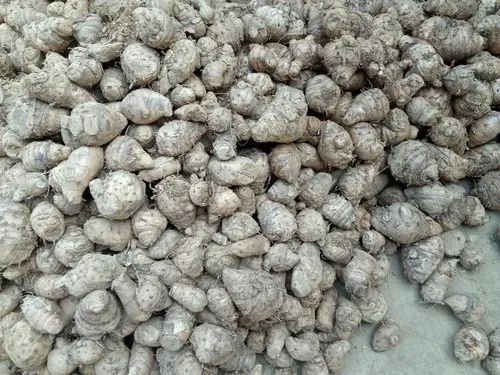Round Black Turmeric Seed, For Cooking, Spices, Grade : Food Grade