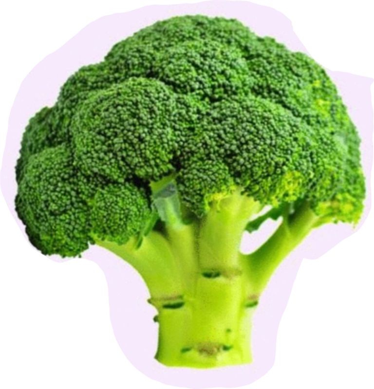 Dark Green Fresh Broccoli, for Human Consumption, Packaging Size : 25kg