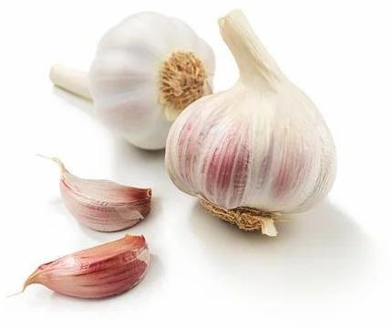 Common fresh garlic, for Snacks, Fast Food, Cooking